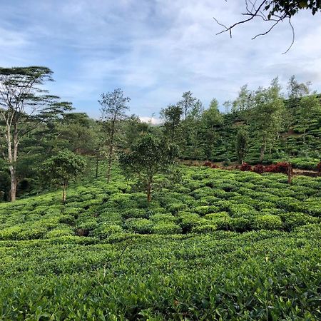 Parisons Plantation Experiences By Abad Hotel Mananthavady Eksteriør billede
