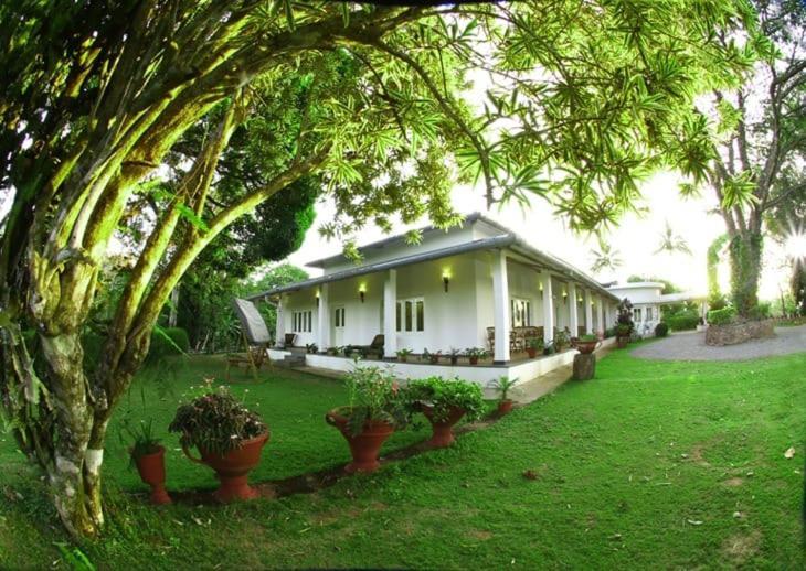 Parisons Plantation Experiences By Abad Hotel Mananthavady Eksteriør billede