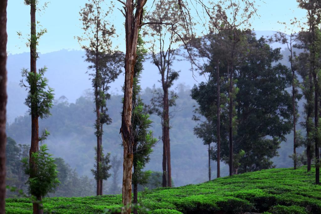 Parisons Plantation Experiences By Abad Hotel Mananthavady Eksteriør billede