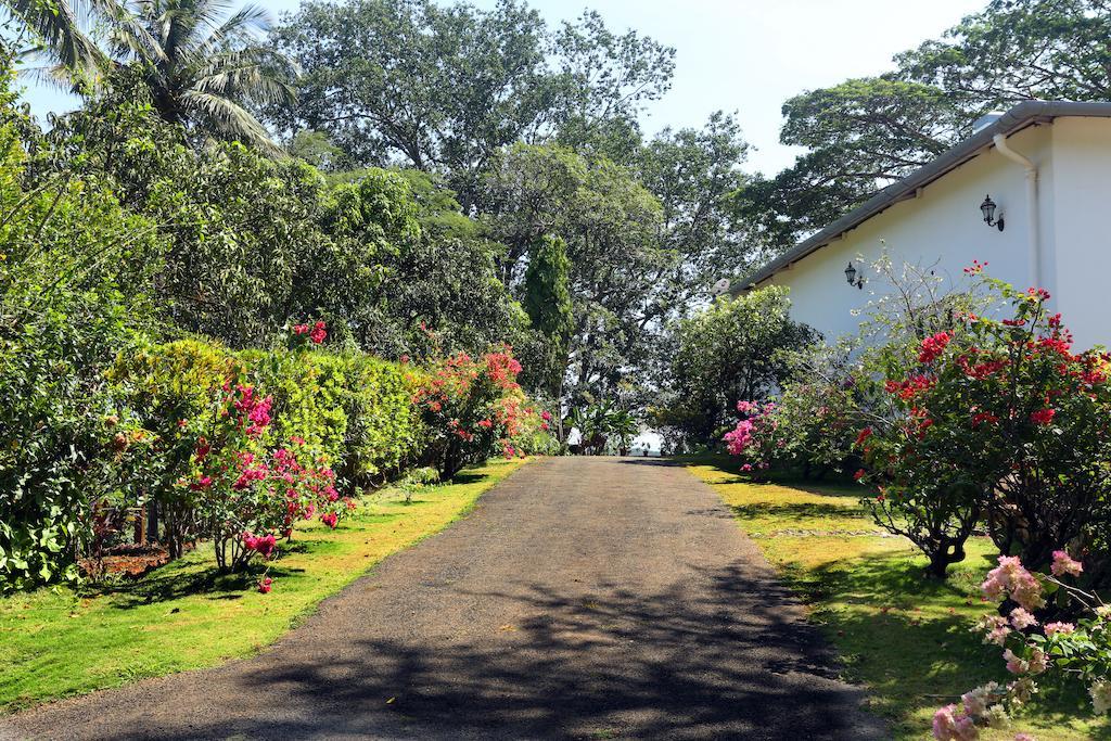 Parisons Plantation Experiences By Abad Hotel Mananthavady Eksteriør billede