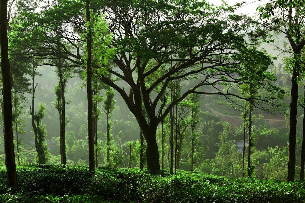 Parisons Plantation Experiences By Abad Hotel Mananthavady Værelse billede